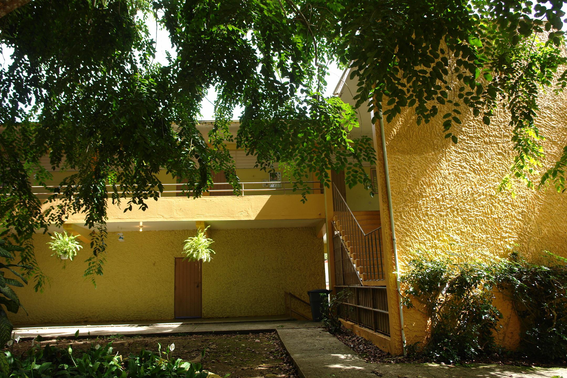 FDII - Aibonito - 2010 00031